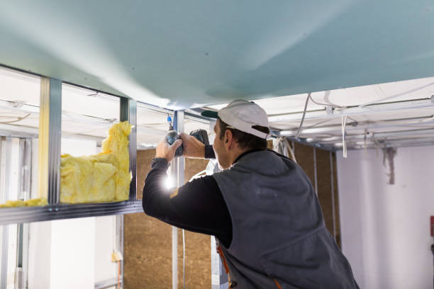 Best Eco-Friendly Insulation in Enon, VA